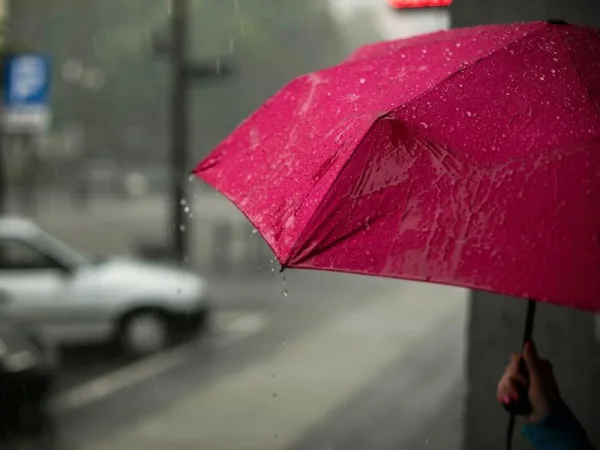 暴雨打壞雨傘怎麼丟？丟錯恐罰6000！全台「丟傘新制」與拆解攻略一次看