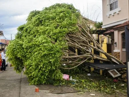 常見天災10大焦慮！手機沒電、居住安全、財物損失成討論焦點