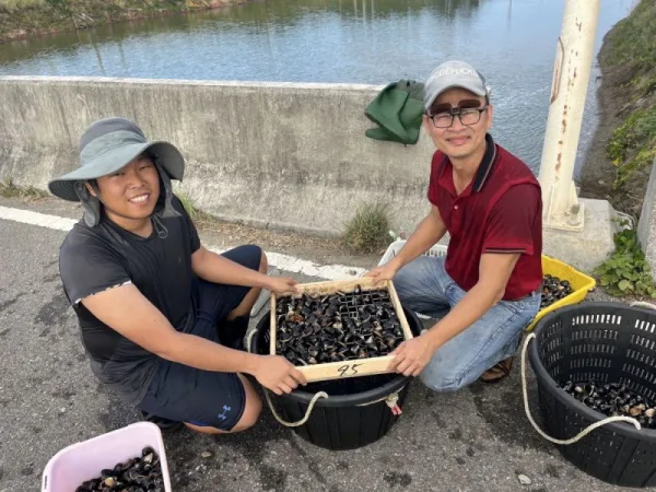 翻轉「酸菜王國」的綠色革命！雲林大埤發揮創意點鹽成金