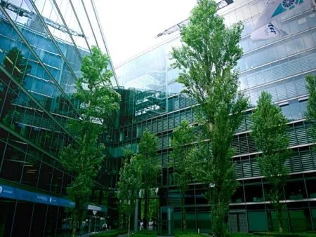 不只是減碳！下一個十年關鍵字「自然正向」，企業該如何證明真的有貢獻？