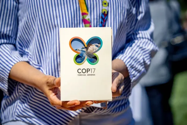 ESG每週必讀》綠能與AI加速生態危機？CBD COP17將登場，盤點「30 X 30」海陸保護進度