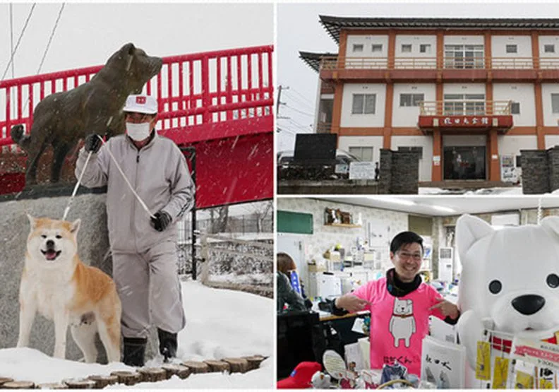 犬派注意！超萌小八會館：秋田犬保存會館