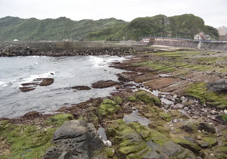 海苔產品口味變多 竟是海漂垃圾逼的！