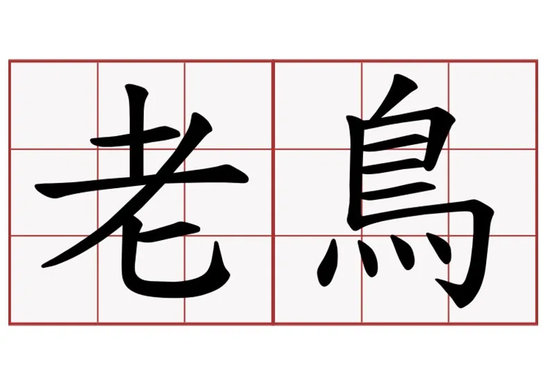 第一份工作主管教我的事