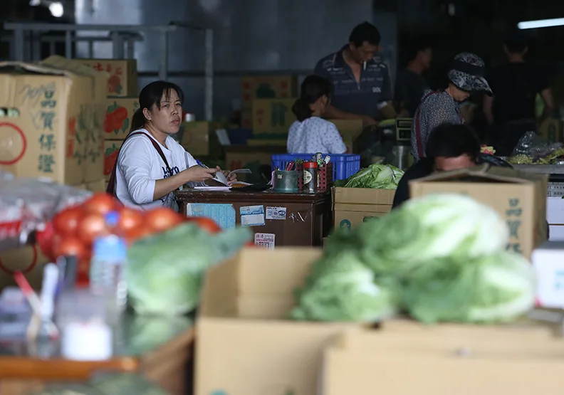 農民親手剷平一畝畝菜園 誰來說句話？