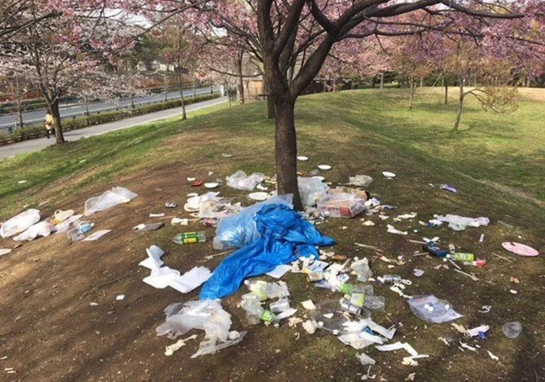 東京最盛賞櫻期 現場照卻讓日本人心碎