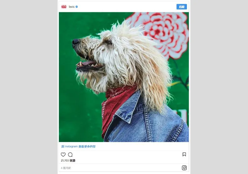 LVMH與Levi’s首季營收成長、迅銷調高財測、精品品牌為何集體棄用皮草