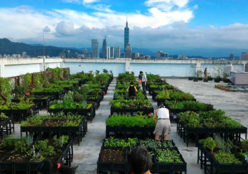 臺北市民生社區活動中心公有屋頂示範菜園，為臺北市政府產業發展局推廣田園綠化與可食地景的概念，同時活化閒置空間，降低城市熱島效應