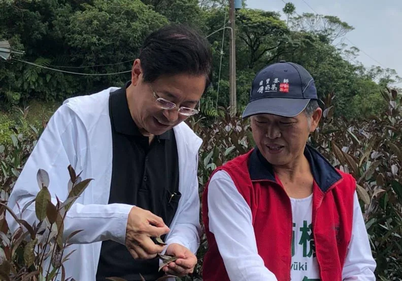 前行政院長張善政今在臉書發文分享自己去新北市坪林品茶的見聞。圖取自張善政臉書