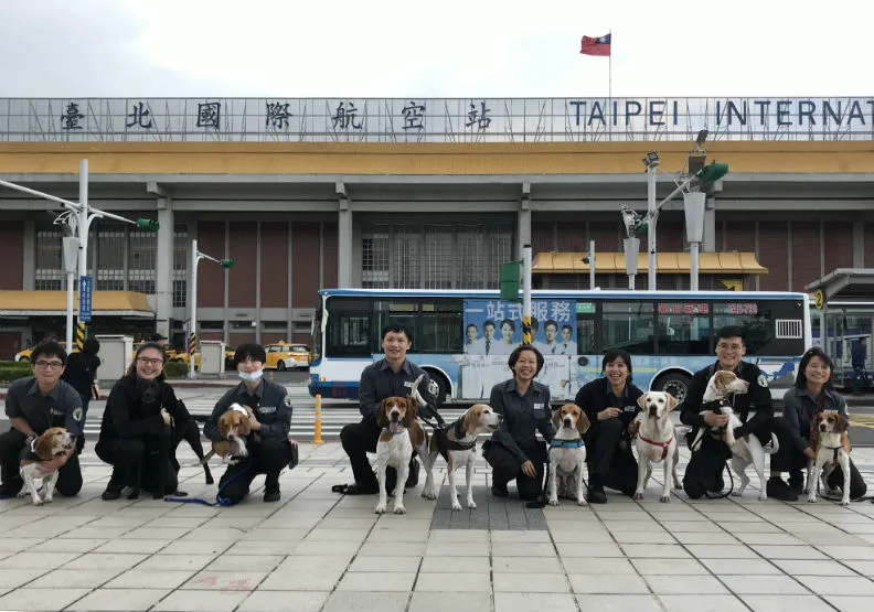檢疫犬大隊在松山機場執勤時合照，陣容堅強，頗有氣勢。