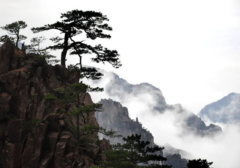 僅為情境配圖。圖片來源：pixabay