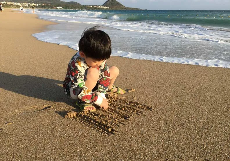 圖／大是文化提供