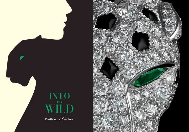 INTO THE WILD豹影迷蹤