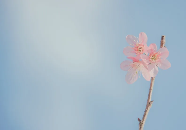 僅為情境配圖。圖片來源：pexels