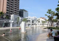 嘉義市家庭所得年增率為何冠全台？