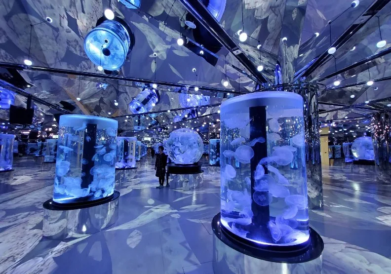 Xpark水族館開幕！這裡是「癒見水母」區。