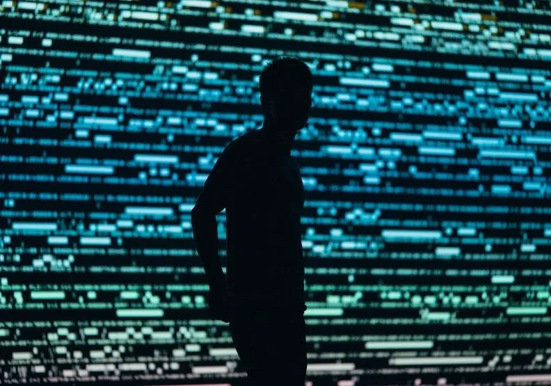 圖／取自unsplash。 