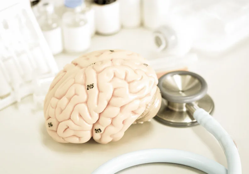 科學家發現，氣溫升高也會擾亂動物大腦發育和功能，對適應新環境的能力產生負面影響。僅為情境配圖，取自Shutterstock
