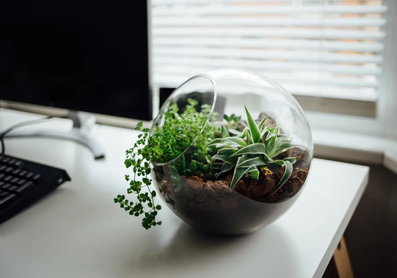 僅為情境圖。取自unsplash