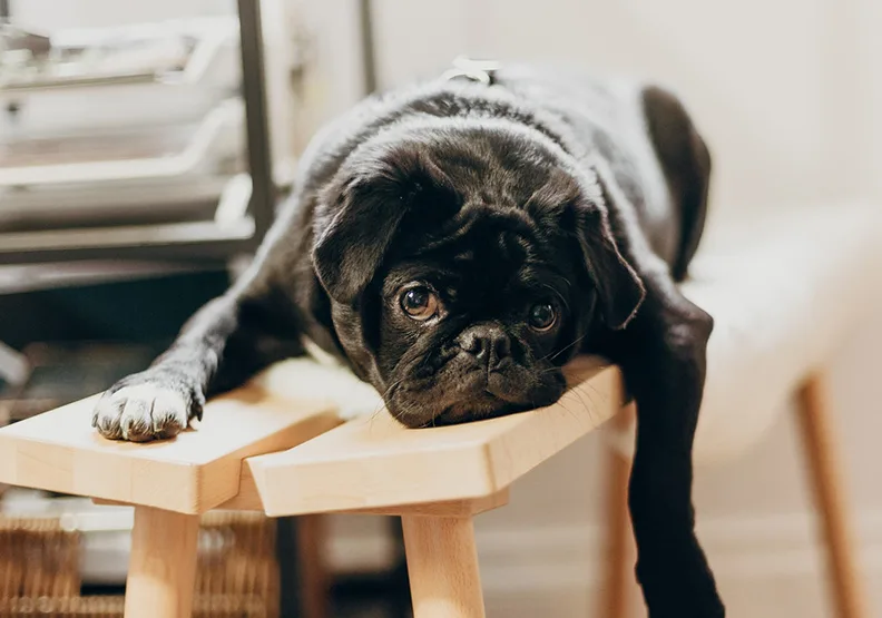 僅為情境圖。取自unsplash