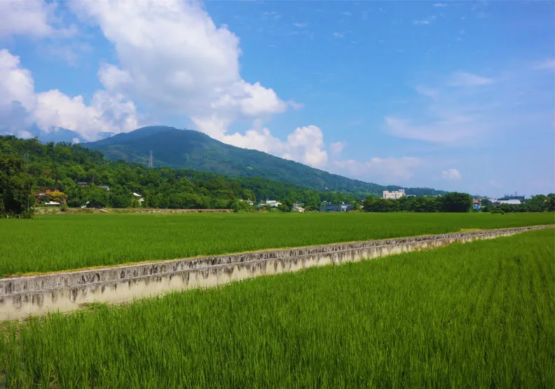 圖／台灣房市齊漲，連「後山」花蓮的房價指數增幅都來到14%。陳心慈攝