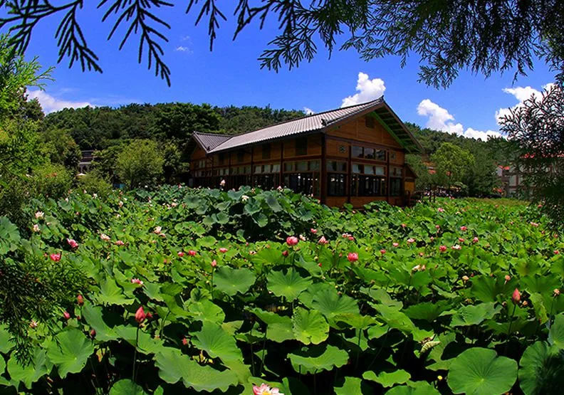 桃米生態村 (圖片提供 交通部觀光局)