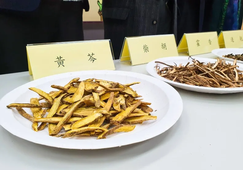 圖／淨冠方配方主要來自五種成分，分別是連翹、黃芩、柴胡、厚朴、藿香。簡惠茹攝