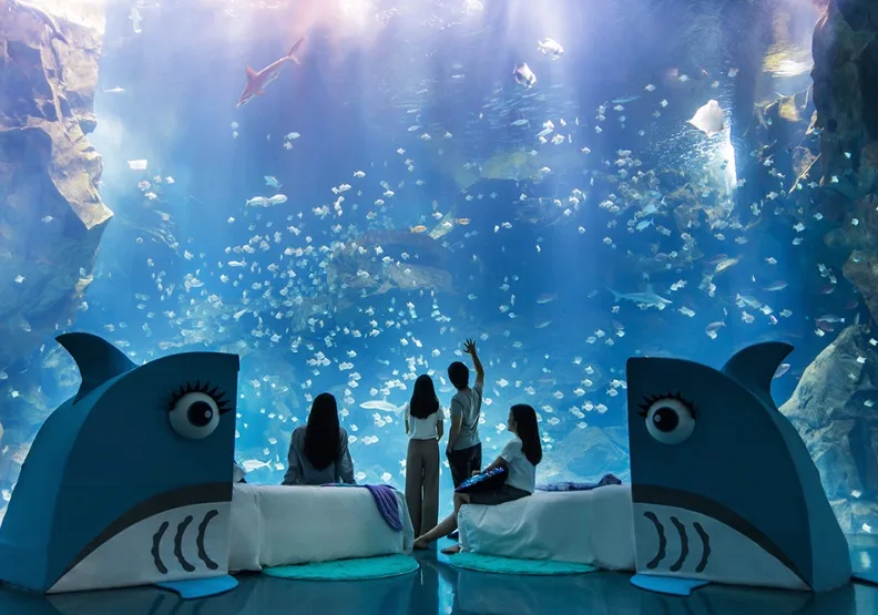 圖／有別於其他海生館打地鋪的住宿體驗，「Blu Night宿海奇遇」斥資百萬打造「宿曦小窩」。和逸飯店桃園館提供。COZZI Blu和逸飯店提供