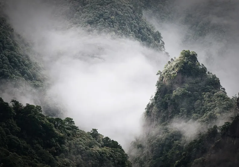 僅為情境圖，取自unsplash@renran