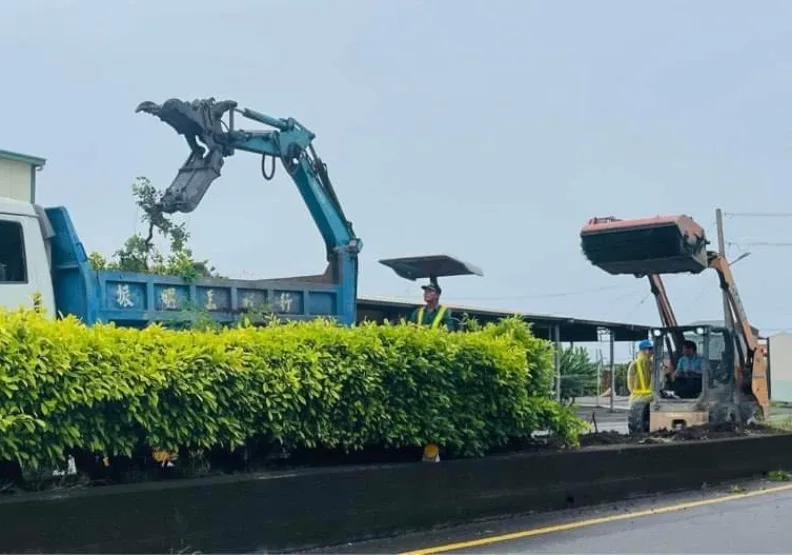 怪手進駐屏鵝公路，一一砍除分隔島的榕樹。（屏東民眾提供）