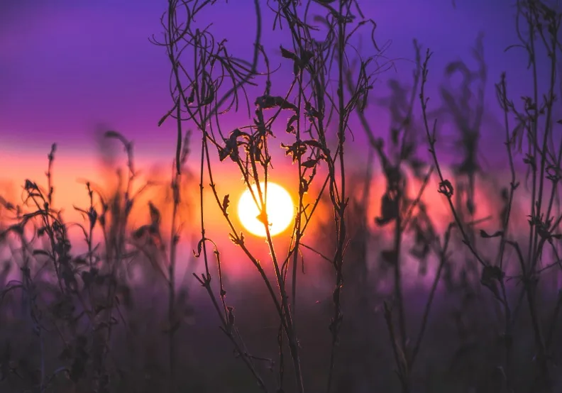 《擁抱受傷的內在小孩》／僅為情境圖，取自unsplash@nervum