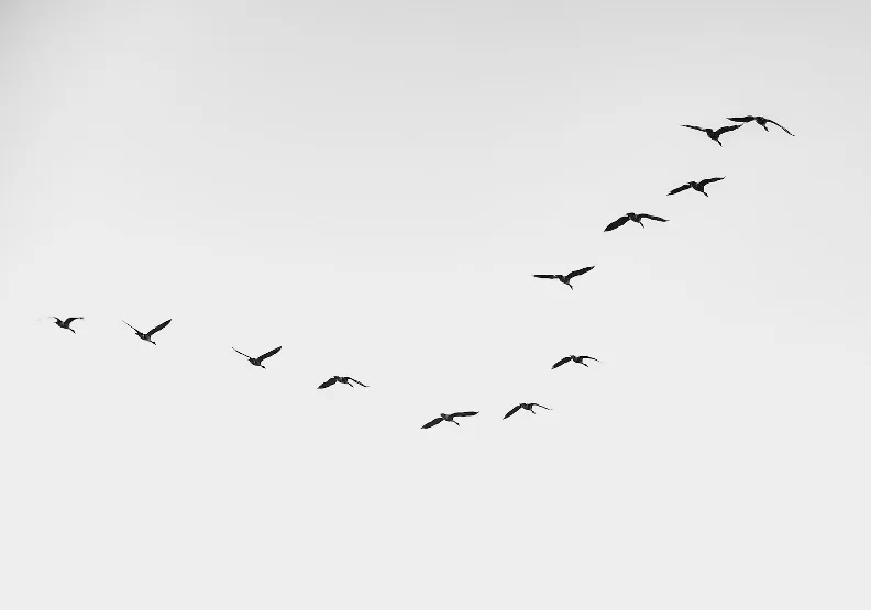 《歡迎進入管理階層》／僅為情境圖，取自unsplash@joshuamphotography