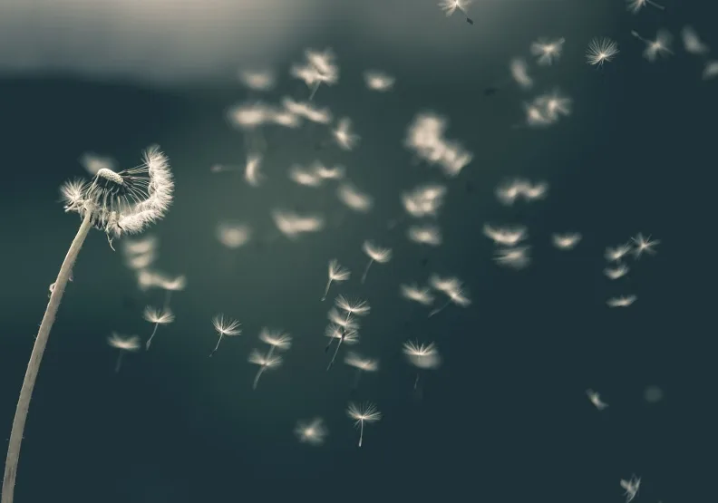 《生活是無以名狀的碎片》／僅為情境圖，取自unsplash@saadchdhry