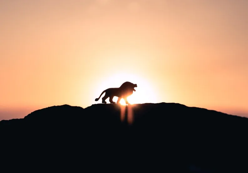 《不是搞不定人，是搞不懂人性》／僅為情境圖，取自unsplash