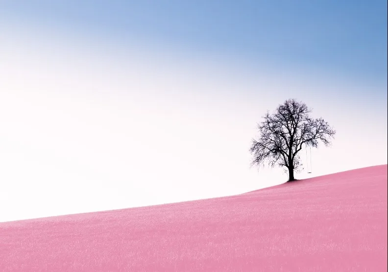 《世界這麼大，不做自己要幹嘛？》／僅為情境圖，取自unsplash
