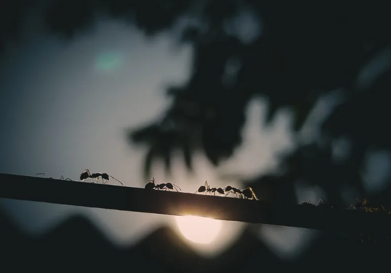 《大人學選擇》／僅為情境圖，取自unsplash