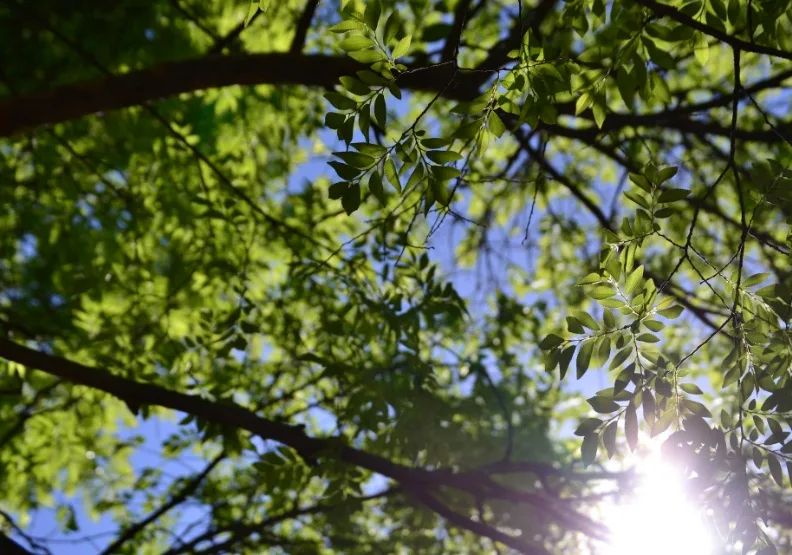 僅為情境配圖。取自unsplash