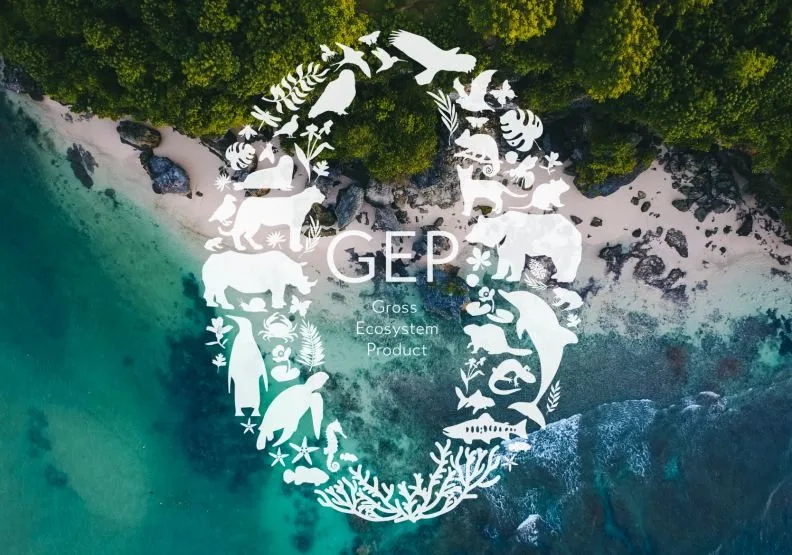 GEP才是國家企業未來的永續競爭力。圖片由歐萊德提供