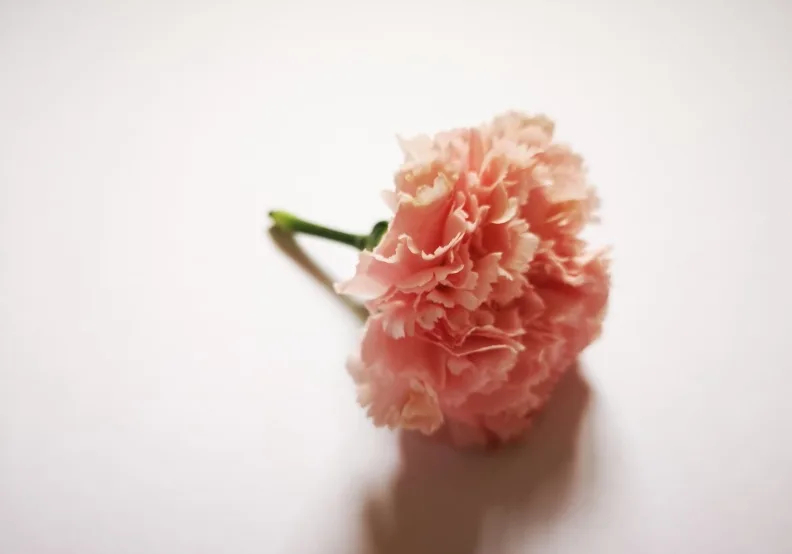 《謝謝妳是我媽媽》／僅為情境圖，取自unsplash