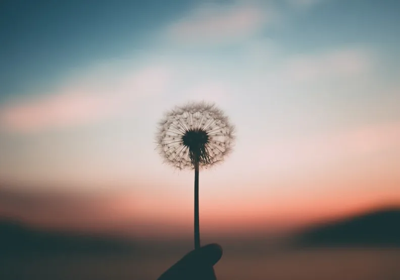 《打造被動收入最重要的事》／僅為情境圖，取自unsplash