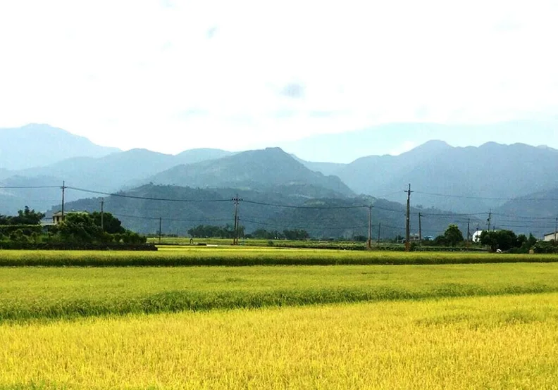 圖／50＋FIFTY PLUS