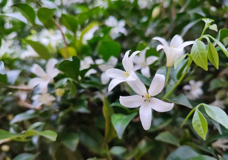 《晚安，我的生命》／僅為情境圖，取自unsplash