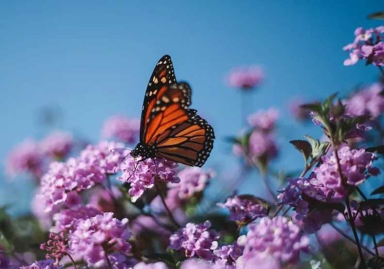 《李偉文的退休進行式3》／僅為情境圖，取自unsplash