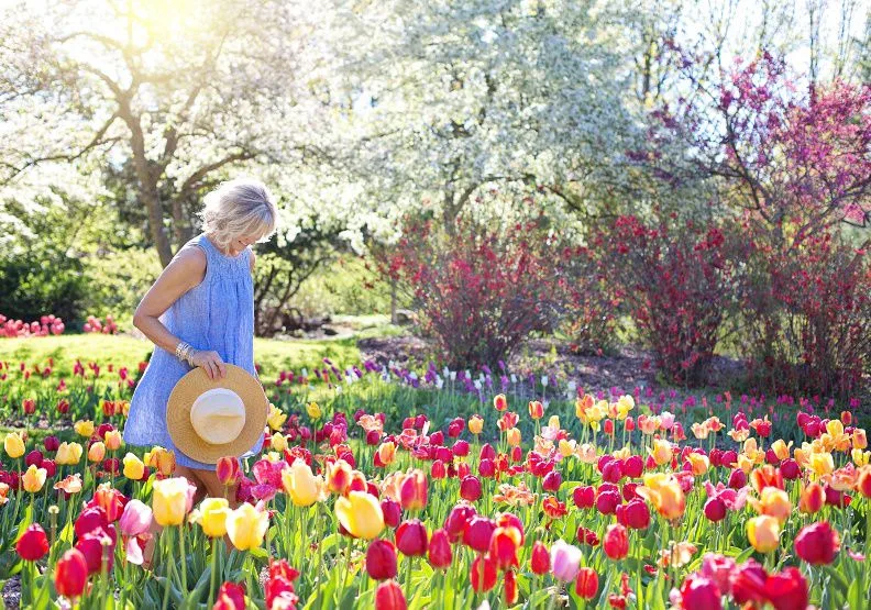 若想走在人生的花園裡，自己要先努力種花。Photo by Jill Wellington on pexels