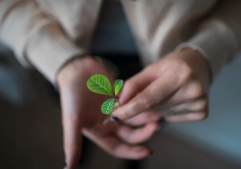 《自我提問的力量》／僅為情境圖，取自unsplash