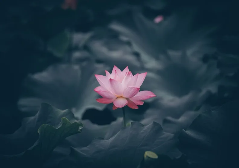 《煩惱也沒關係；牽掛，表示你在意》／僅為情境圖，取自unsplash