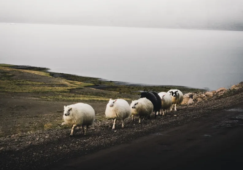 《鬆綁你的完美主義》／僅為情境圖，取自unsplash