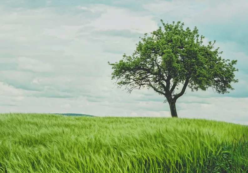 《我們是血脈相連的陌生人》／僅為情境圖，取自unsplash