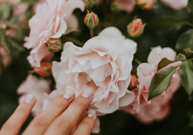 《生活是有恃無恐》／僅為情境圖，取自unsplash