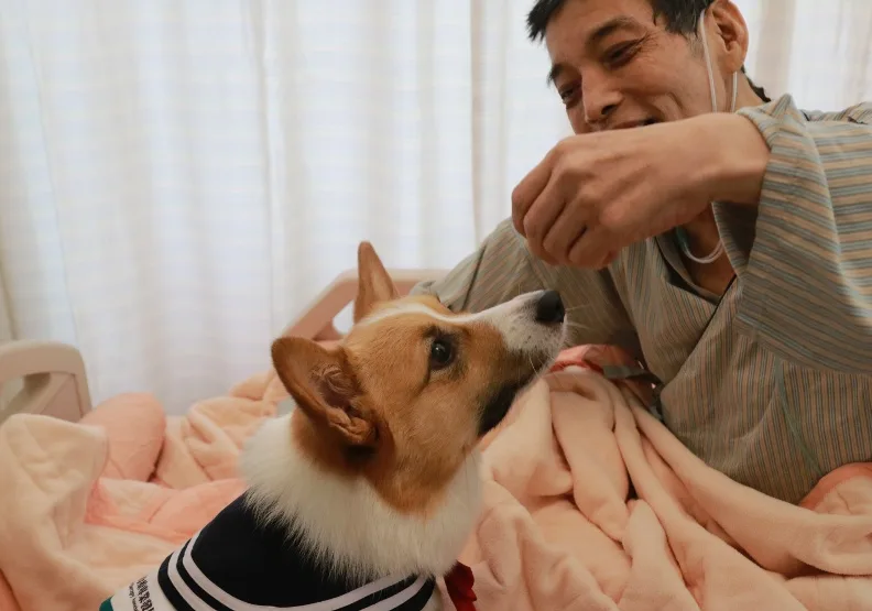 病人與治療犬玩遊戲，猜零食藏在哪隻手，增加趣味性的同時，也讓病人練習手部復健。亞東醫院家醫部林欣怡諮商心理師提供